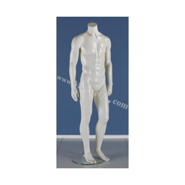 Male mannequin with or without head, model Ralf 1053, many colors