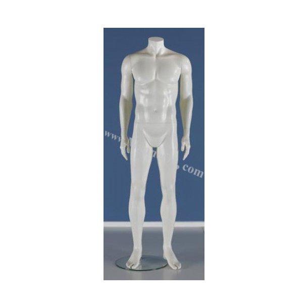 Male mannequin with or without head, model Ralf 1057, many colors