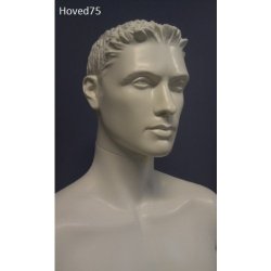 Male mannequin with or without head, model Ralf 1057, many colors