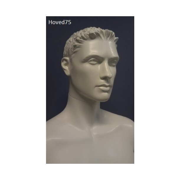 Male mannequin with or without head, model Ralf 1057, many colors