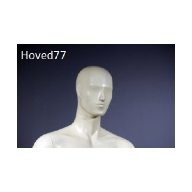 Male mannequin with or without head, model Ralf 1057, many colors