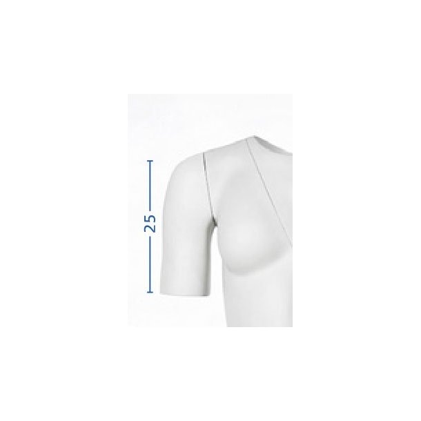 Packshot Photo Mannequin Lady Plus Size