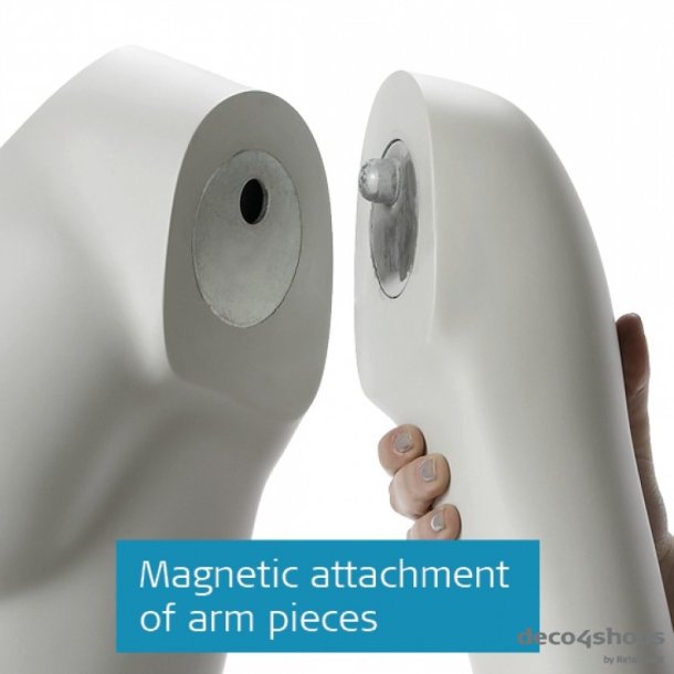 Packshot Photo Mannequin Herre Plus Size