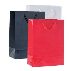 Paper bag - High gloss - Multiple colors - H32 cm - 12 pcs