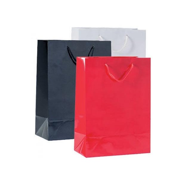 Paper bag - High gloss - Multiple colors - H32 cm - 12 pcs