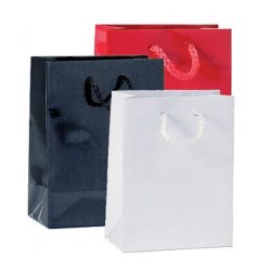 Paper bag - High gloss - Multiple colors - H14 cm - 12 pcs