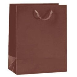Paper bag - Food - Gift bag with string - H23 cm - 12 pcs