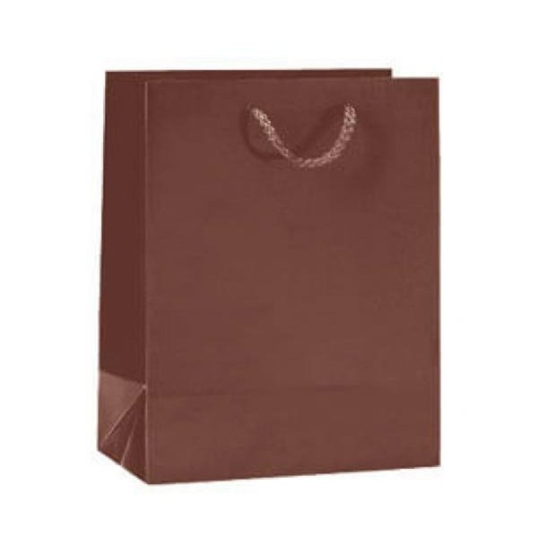 Paper bag - Food - Gift bag with string - H23 cm - 12 pcs