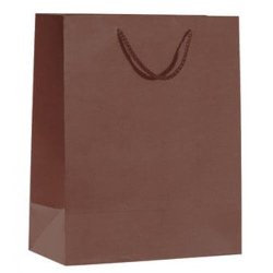 Paper bag - Food - Gift bag with string - H32 cm - 12 pcs