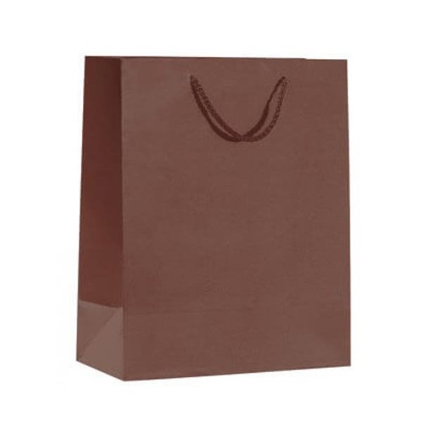 Paper bag - Food - Gift bag with string - H32 cm - 12 pcs