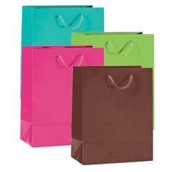 Paper bag - Food - Gift bag with string - H23 cm - 12 pcs