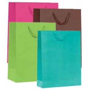 Papperspse - Mat - Presentpse med snöre - H32 cm - 12 st