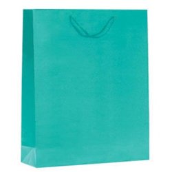 Paper bag - Food - Gift bag with string - H32 cm - 12 pcs