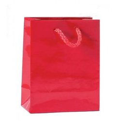 Paper bag - High gloss - Multiple colors - H14 cm - 12 pcs