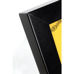 BLACK STAR XXL information display