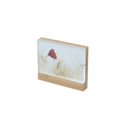 Peleman Photo (10x15 cm) bamboo/acrylic panel with magnetic closure