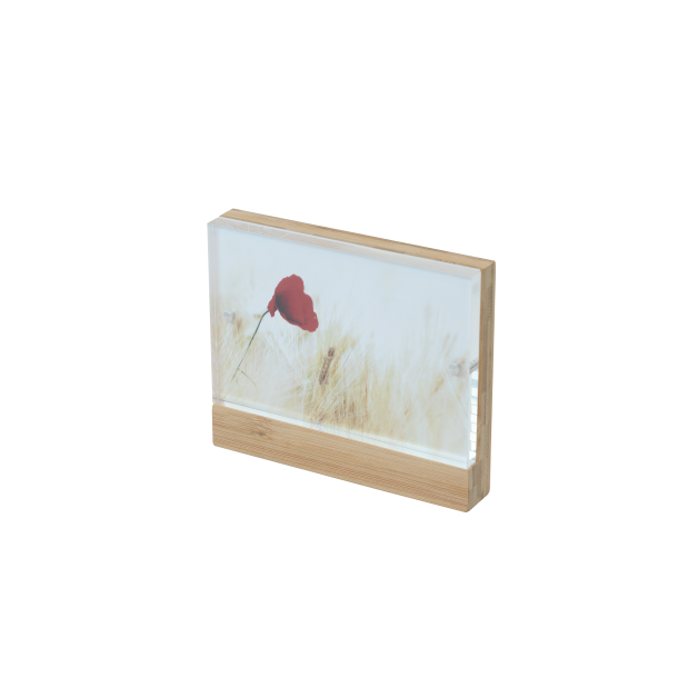 Peleman Photo (10x15 cm) bamboo/acrylic panel with magnetic closure